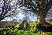 Пазл Арка камней