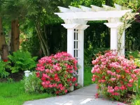 Пазл Арка в саду