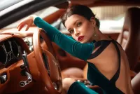 Пазл Автоледи