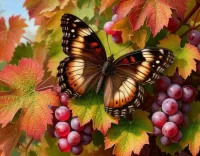 Пазл Бабочка