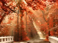 Пазл Багряный лес