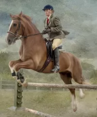 Пазл Барьер