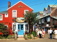 Пазл Bear Skin Neck Shop