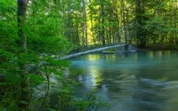 Пазл Бегущая вода