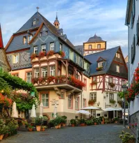 Пазл Beilstein