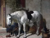 Пазл Белая лошадь