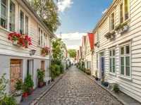 Пазл Белая улица