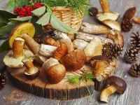 Пазл Белые грибы