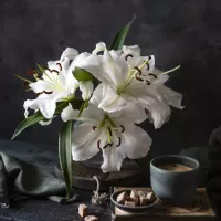 Пазл Белые на чёрном