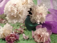 Пазл Белые пионы