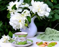 Пазл Белые пионы