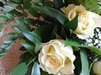 Пазл Белые розы