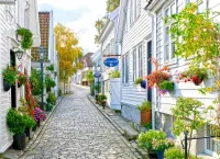 Пазл Белый город