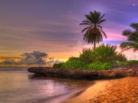 Пазл Берег моря