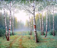 Пазл Березовый лес