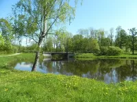 Пазл Берёза у пруда