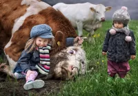 Пазл Быка на скаку остановит