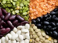 Пазл Бобовые