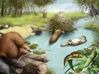 Пазл Бобровая хатка 