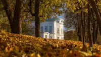 Пазл Богородицкий парк осенью