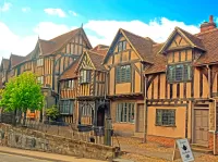 Пазл Больница Лорда Лестера