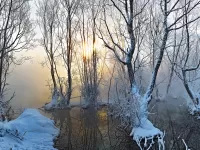 Пазл Болото зимой