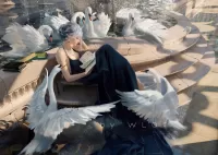 Пазл Book and birds