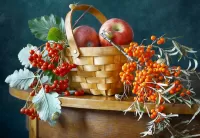 Пазл Боярышник и облепиха