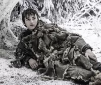 Пазл Bran Stark