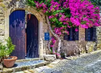 Пазл Бугенвиллия