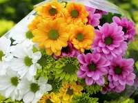 Пазл Букет хризантем