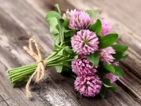 Пазл Букет из клевера