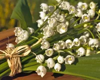 Пазл Букет ландышей