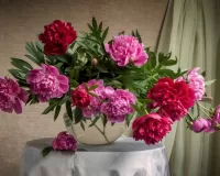 Пазл Букет пионов в вазе