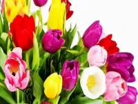 Пазл Букет тюльпаны