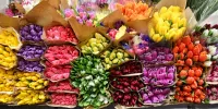 Пазл Букеты тюльпанов