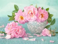 Пазл Чайная роза