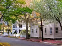 Пазл Чарльстон США