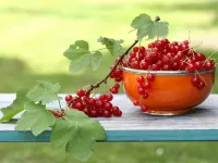 Пазл Чашка смородины