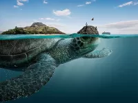 Пазл Черепаха.