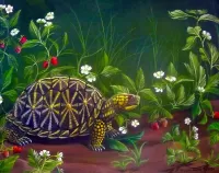 Пазл Черепаха 