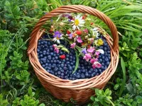 Пазл Черника