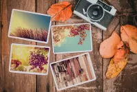 Пазл Четыре фотографии