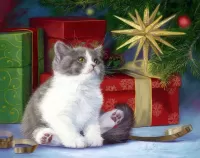 Пазл Чудесная звезда