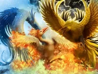 Пазл Чудо птицы