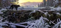 Пазл Чёрный волк