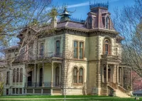 Пазл Clover Lawn