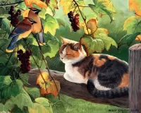 Пазл Cпящая кошка