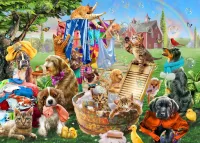 Пазл Дачная стирка