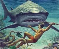 Пазл Дайвер и акула